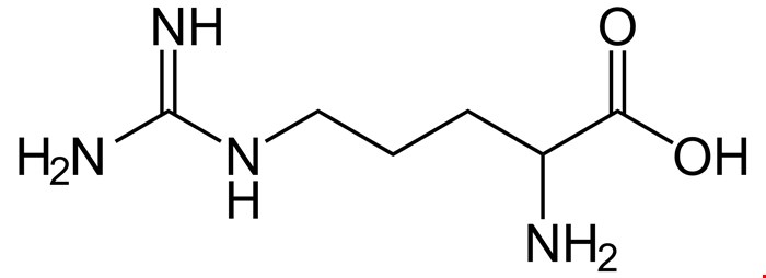 ال آرژنین 3-79-74 L-Arginine