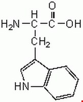 ال تریپتوفان L-Tryptophan CAS 73-22-3          