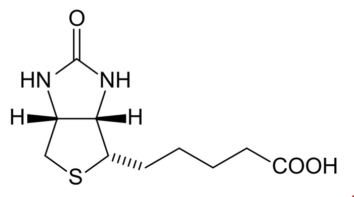 خرید بیوتین  Biotin (Vitamin H)