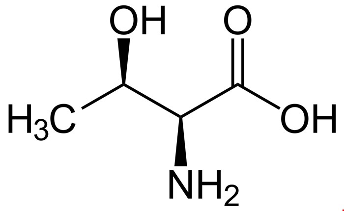 ال ترونین 5-19-72 L-Threonine