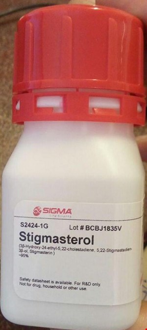 استیگماسترول سیگما 1 گرمی موجود S2424 Stigmasterol