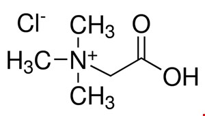 خرید بتائین هیدرو کلراید  ,Betaine hydrochloride