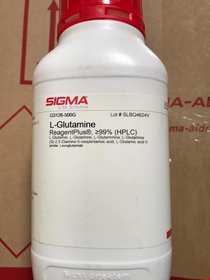 ال-گلوتامین اسید آمینه L-Glutamine