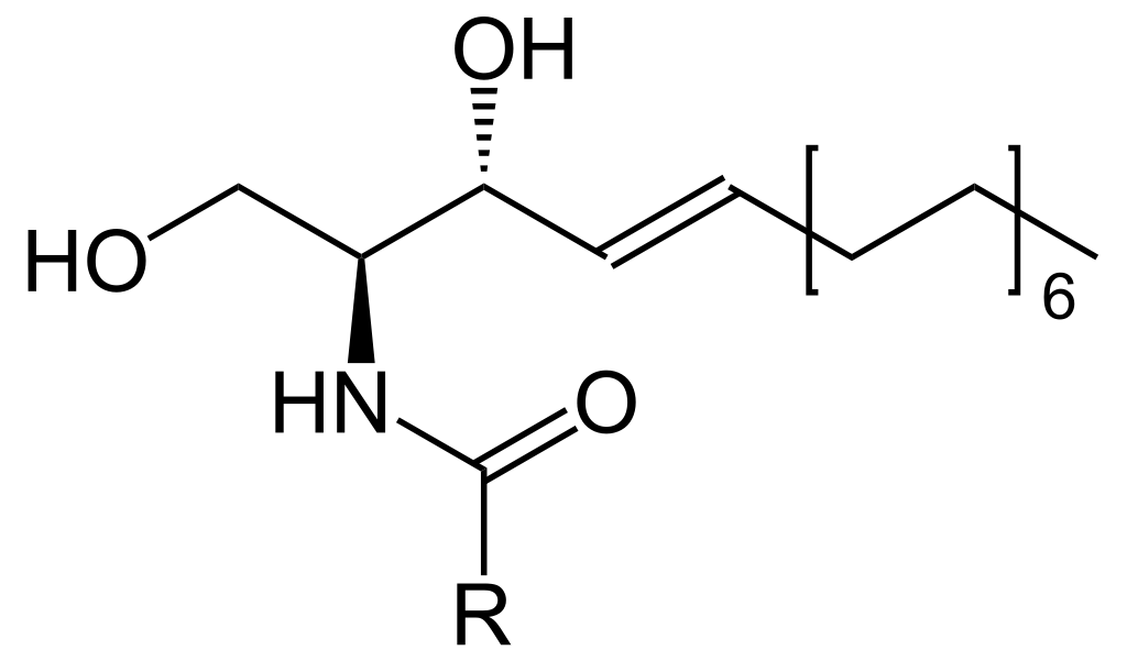 پودر سرامید 25 کیلویی چین