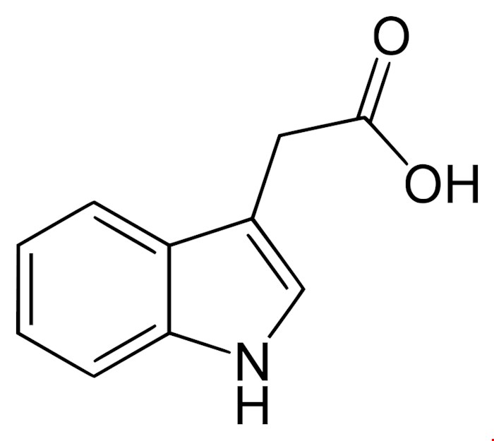 ایندول استیک اسید (IAA) 5گرمی و 1 کیلویی
