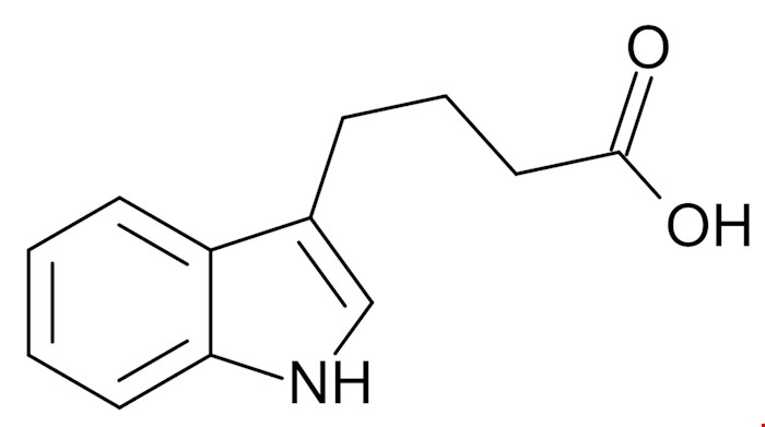 ایندول بوتیریک اسید(IBA) 5گرمی و 1کیلویی