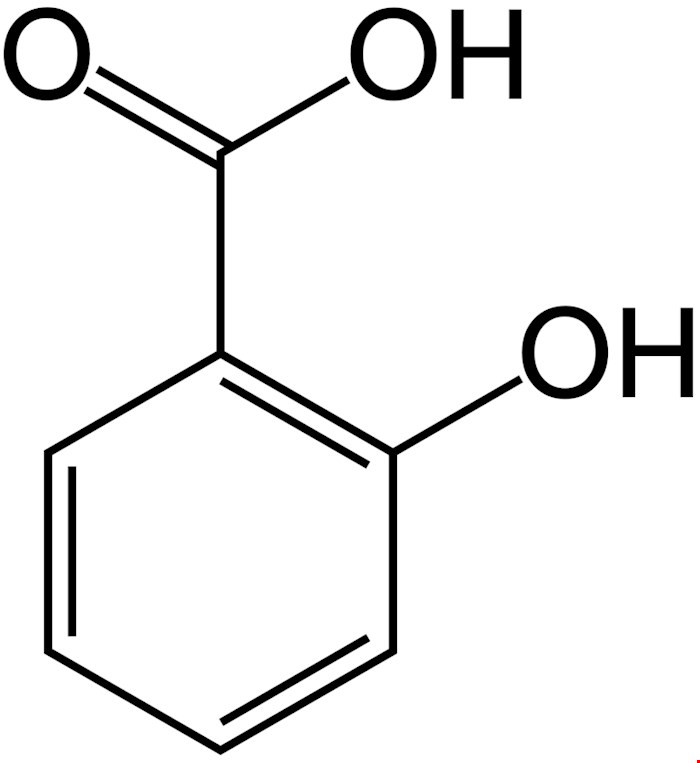 پودر سالیسیلیک اسید 25 کیلویی هندی