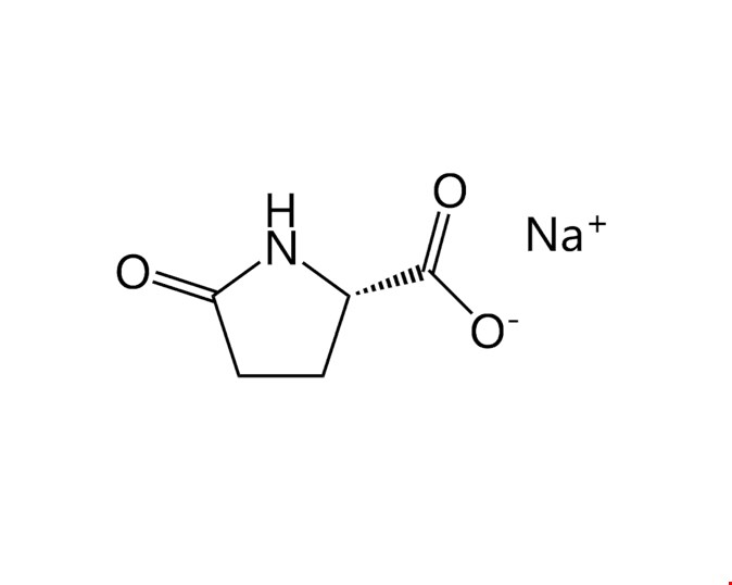 سدیم پیروگلوتامات (سدیم PCA )