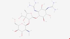 استرپتومایسین (Streptomycin)