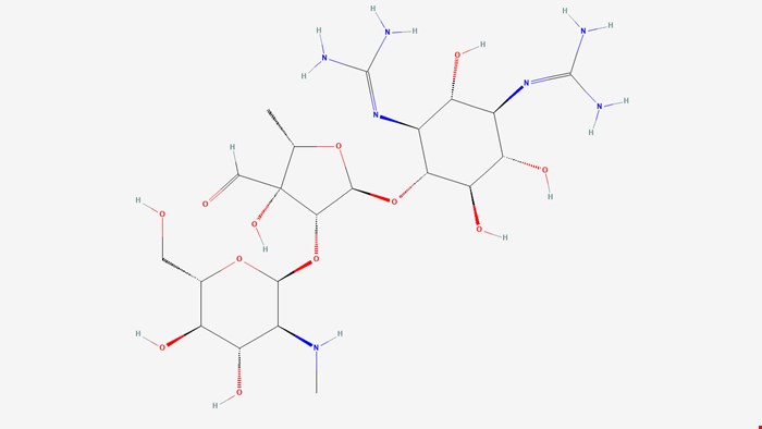 استرپتومایسین (Streptomycin)