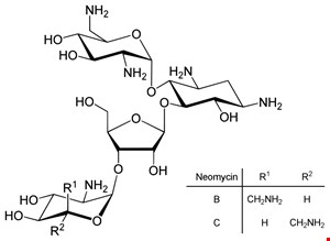 نئومایسین (Neomycin)