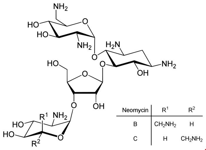 نئومایسین (Neomycin)
