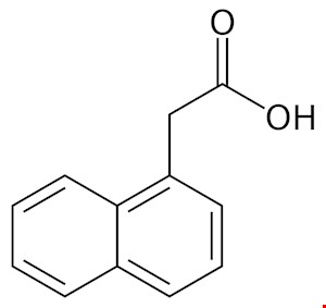 نفتالین استیک اسید (NAA) 5گرمی و 1 کیلویی