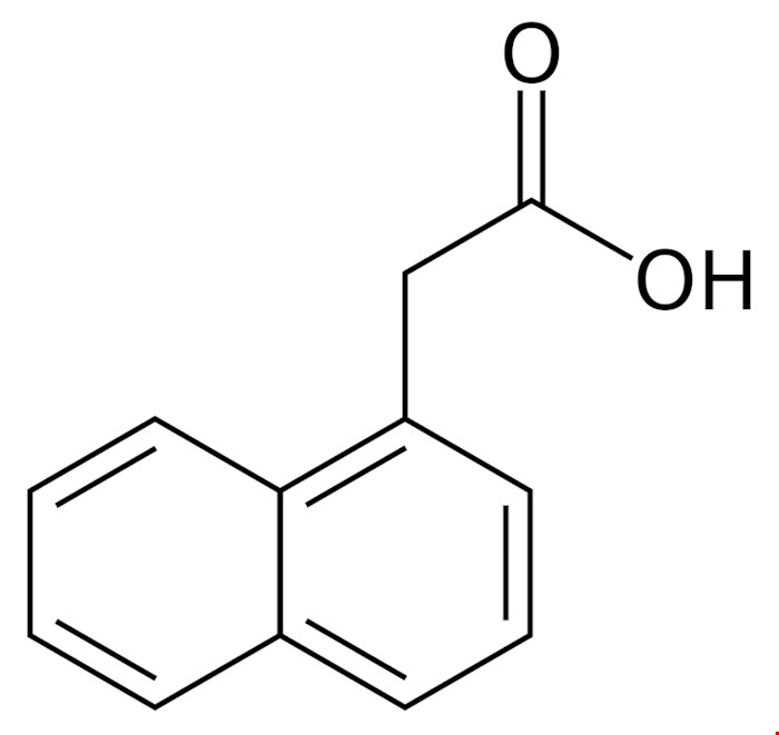 نفتالین استیک اسید (NAA) 5گرمی و 1 کیلویی